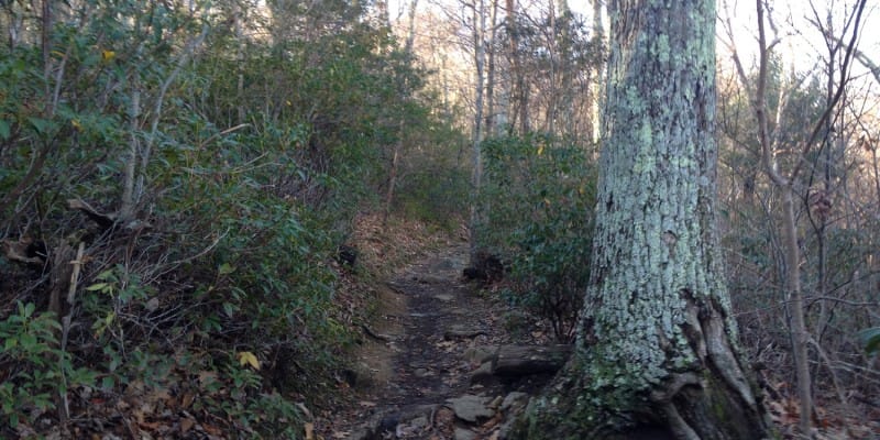 Old Rag Circuit Hike, Old Rag Mountain