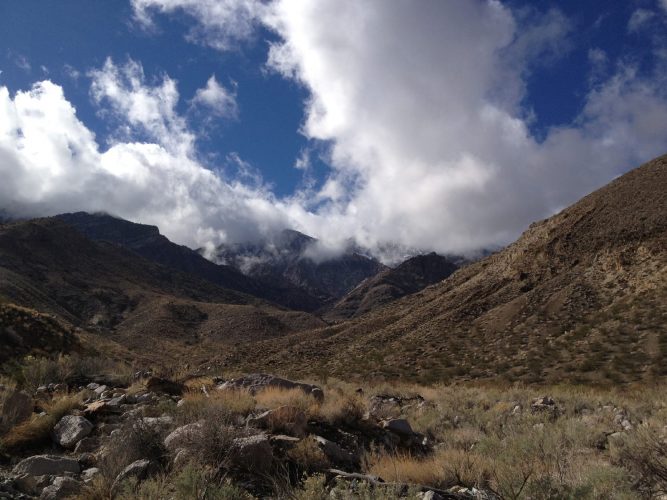 Shorty’s Well to Telescope Peak, February 2014