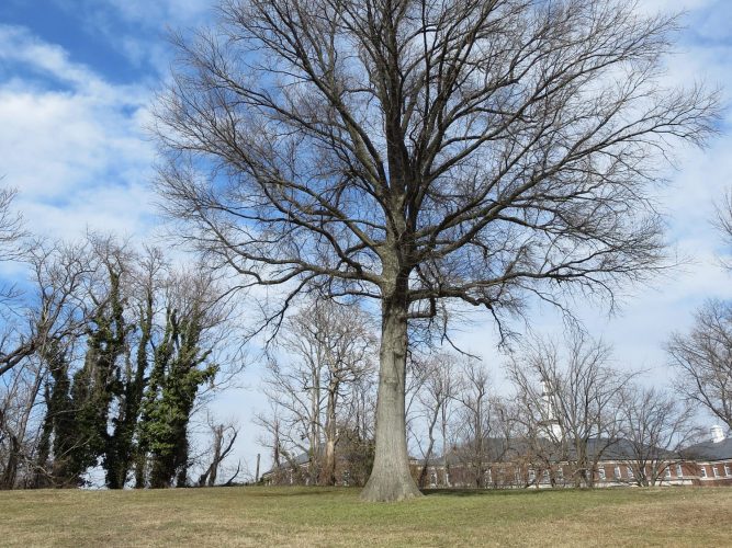 Fort Reno, Washington, D.C. Highpoint