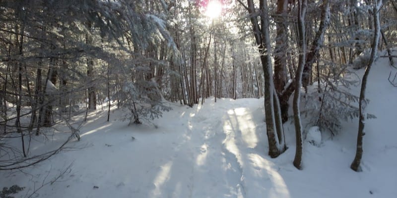 Airline Route, Mount Adams (NH)