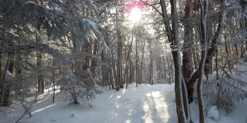 Mount Adams (NH), February 2014