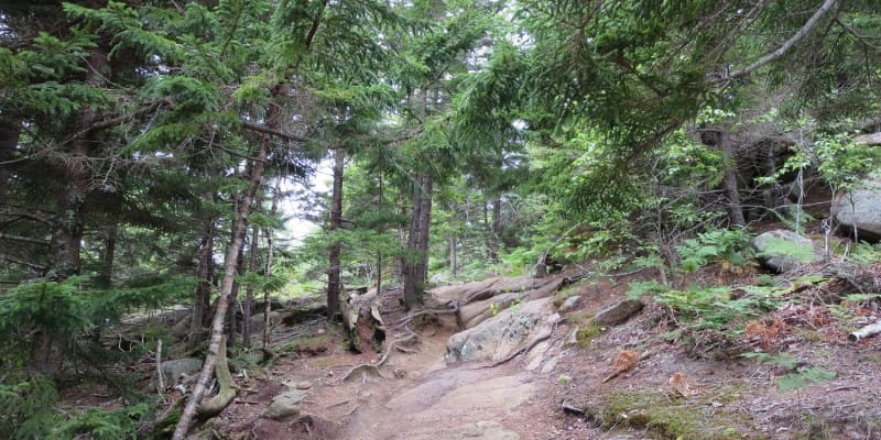 Gorham Mountain, Acadia, Maine