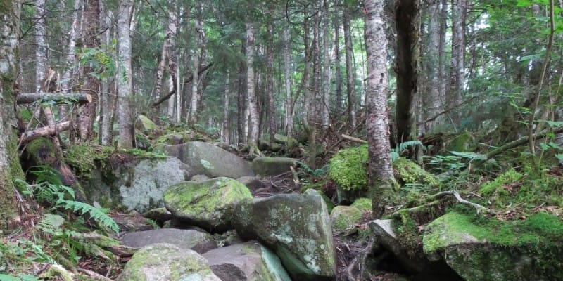 Mount Jefferson, New Hampshire