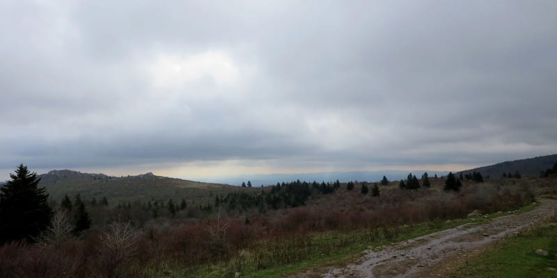 Mount Rogers via Massie Gap