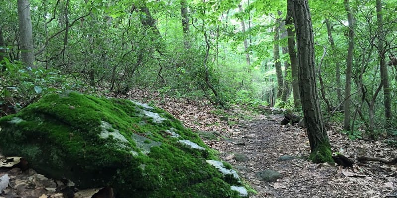 White Trail, Rocks State Park, MD